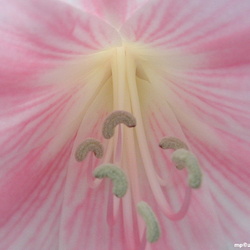 Projects, Places, and Things